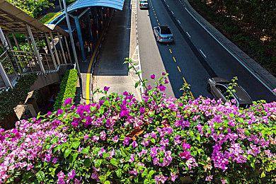 玩家吐槽游戏战斗通行证让游戏像上班 不玩太亏玩了太累